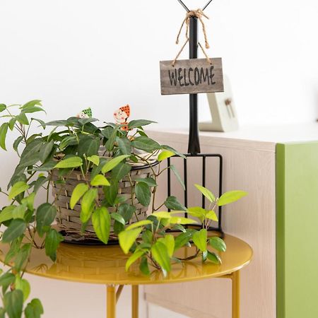 Springhome - Cozy Apartment With Balcony & Parking Брашов Екстериор снимка
