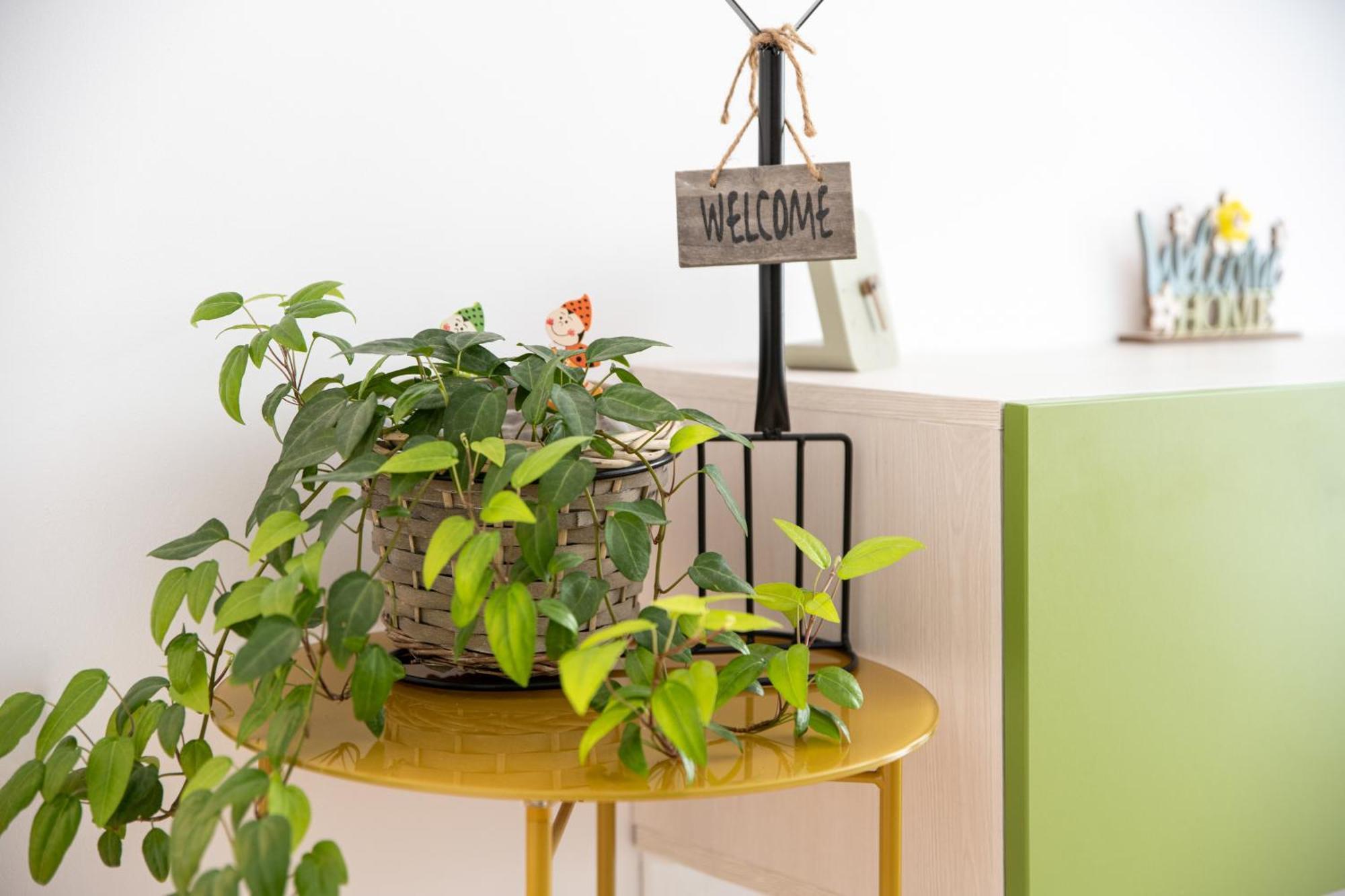 Springhome - Cozy Apartment With Balcony & Parking Брашов Екстериор снимка