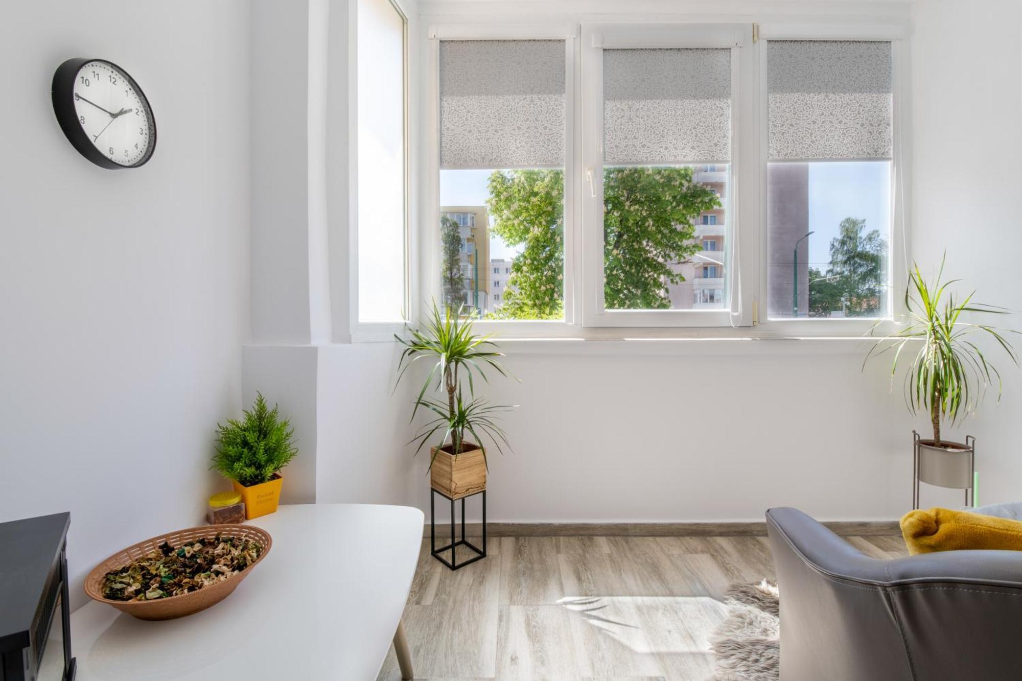 Springhome - Cozy Apartment With Balcony & Parking Брашов Екстериор снимка